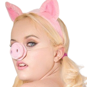 RiverFox.png