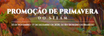 Promoção de Primavera do STEAM / Black Friday